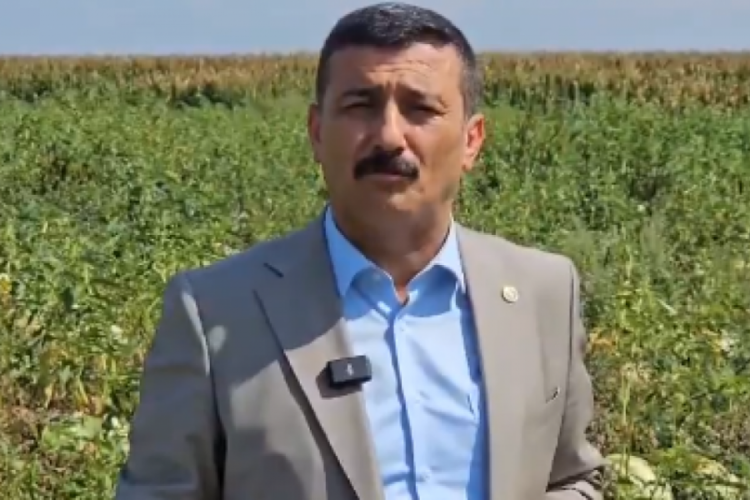 Sel&ccedil;uk T&uuml;rkoğlu: Karpuz değil, dert tarlasından bildiriyorum