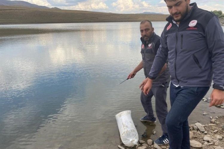 Erzurum'da 48 bin balık yavrusu göletlere salındı!