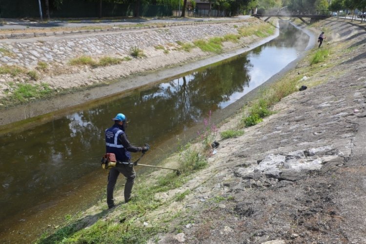 Sakarya'da &ccedil;ark deresi ve &ccedil;evresi titizlikle temizlendi!
