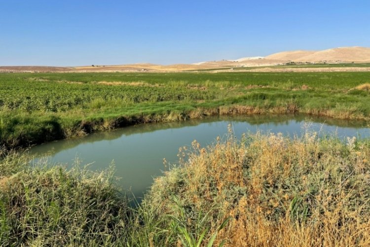 Şanlıurfa'da dev obruklar çiftçileri korkulu anlar yaşattı!