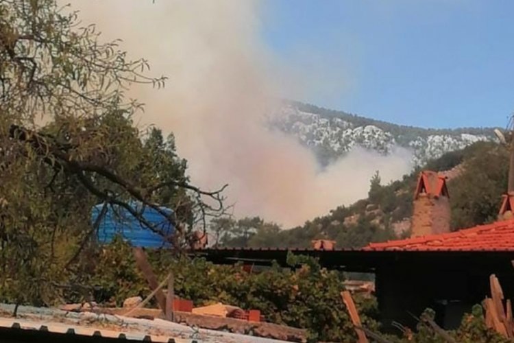Muğla'da ormanlık alanda yangın! Karayolu ulaşıma kapandı