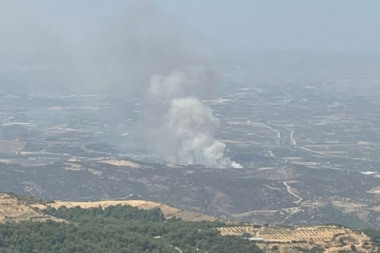 İzmir'de orman yangını!