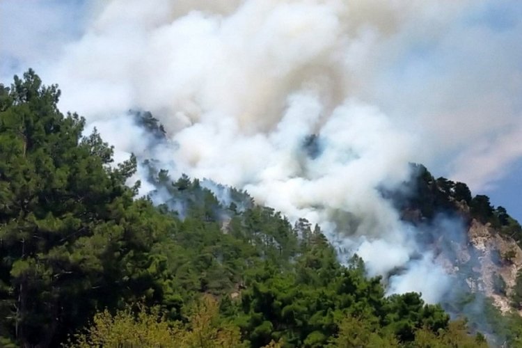 Antalya'da orman yangını