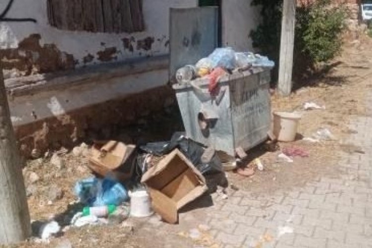 Eskişehir'de &ccedil;evre katliamı:Vatandaş tedirgin!