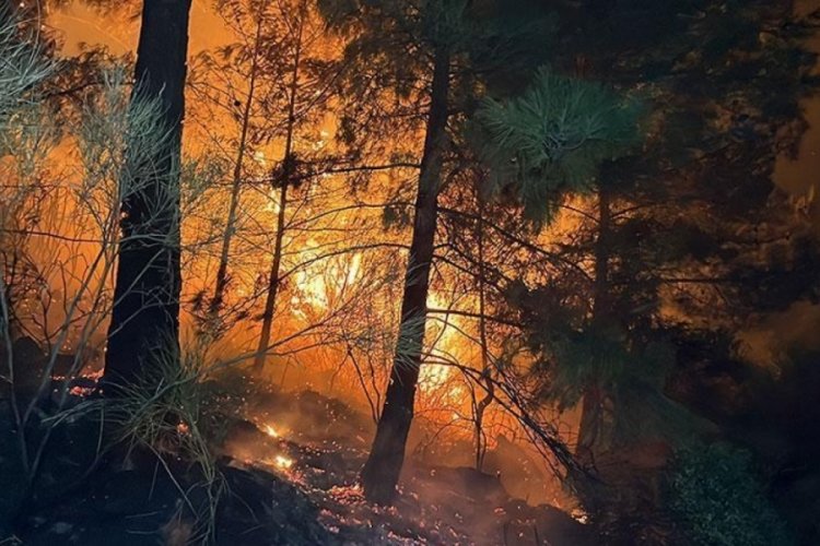 Muğla'daki orman yangını s&uuml;r&uuml;yor!