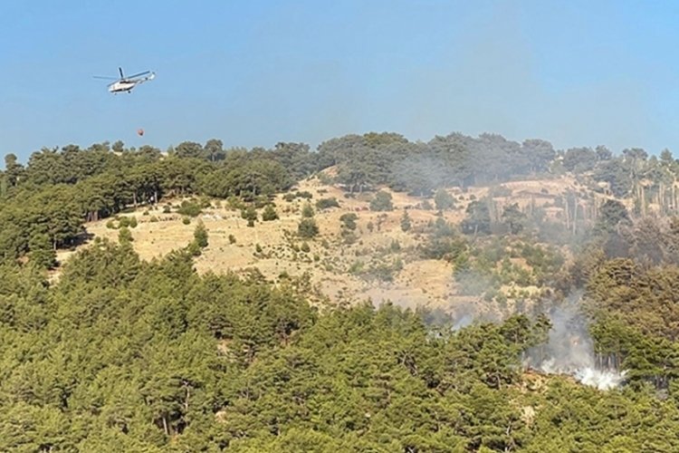 Antalya'da orman yangını!
