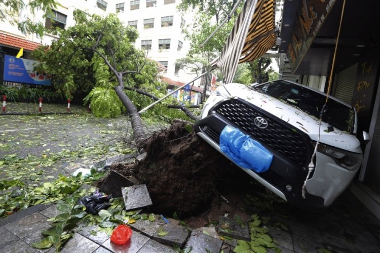 Vietnam'da Yagi Tayfunu bilançosu arttı: 21 ölü