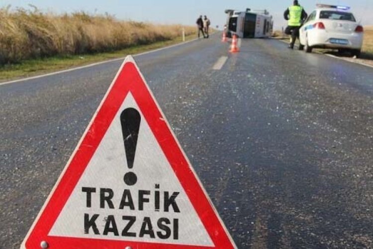 Kars'ta minib&uuml;s s&uuml;r&uuml;ye &ccedil;arptı! 5 hayvan telef oldu