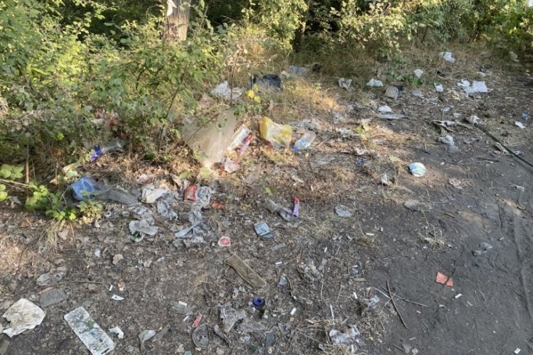 Eskişehir'de &ccedil;evre katliamı:Piknik alanı &ccedil;&ouml;pl&uuml;ğe d&ouml;n&uuml;şt&uuml;!