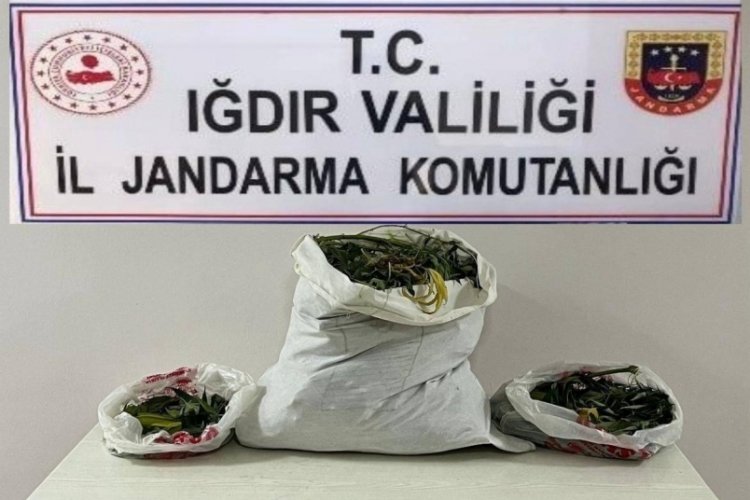 Iğdır'da uyuşturucu operasyonu: 32 kilo esrar yakalandı