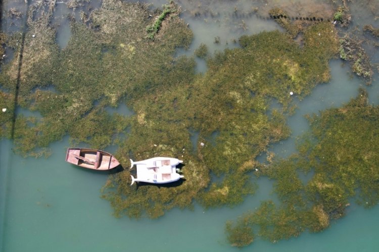 Adana'da Seyhan Nehri'nde temizlik &ccedil;alışmalarında sona gelindi