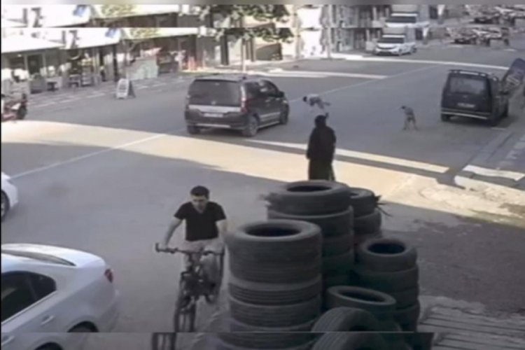 K&ouml;pekten ka&ccedil;an &ccedil;ocuk &ouml;l&uuml;mden kıl payı kurtuldu