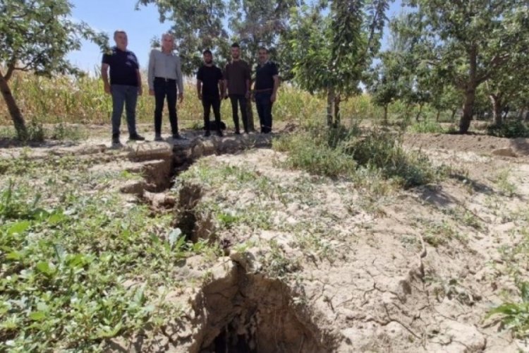 Karaman'da elma bah&ccedil;esinde 100 metre uzunluğunda yarık oluştu