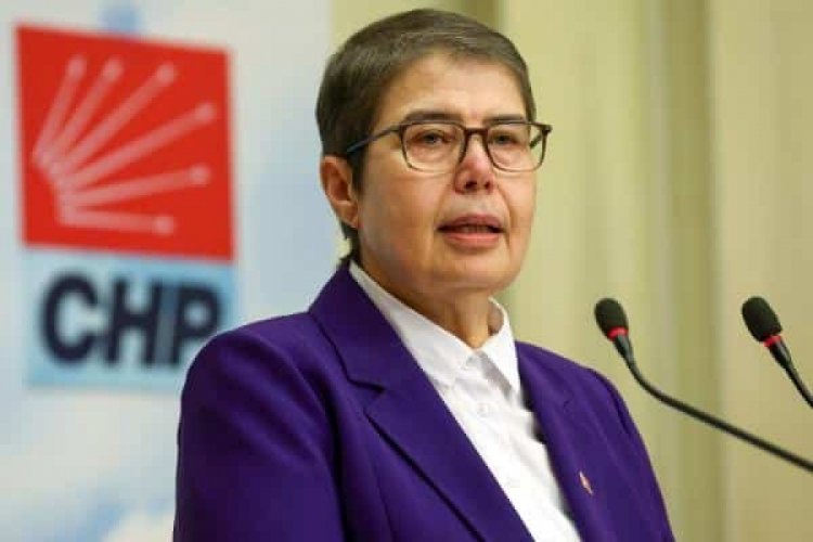 CHP'den kritik Batı Nil virüsü açıklaması! 