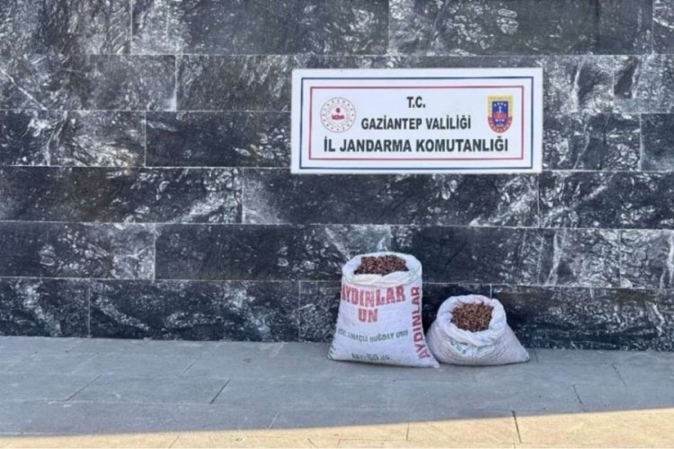 Fıstık hırsızı 6 kişi su&ccedil;&uuml;st&uuml; yakalandı