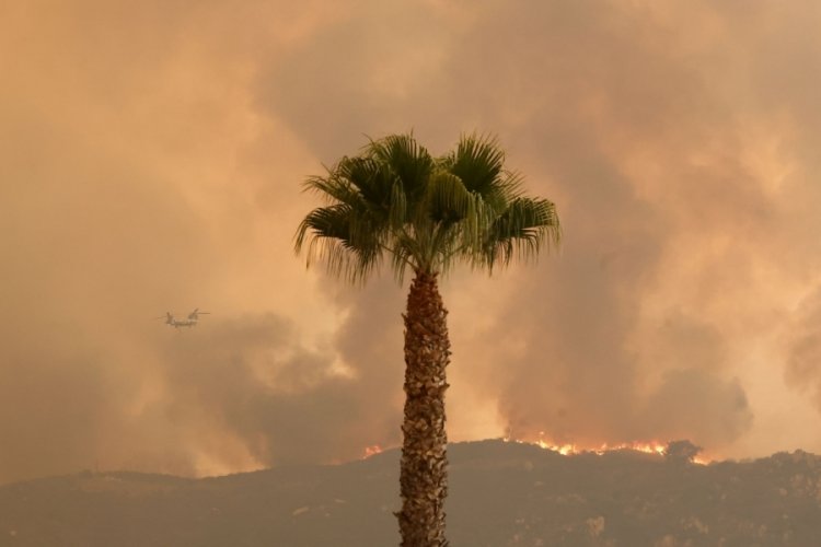 California'daki üç orman yangınında 100 bin dönümden fazla alan kül oldu