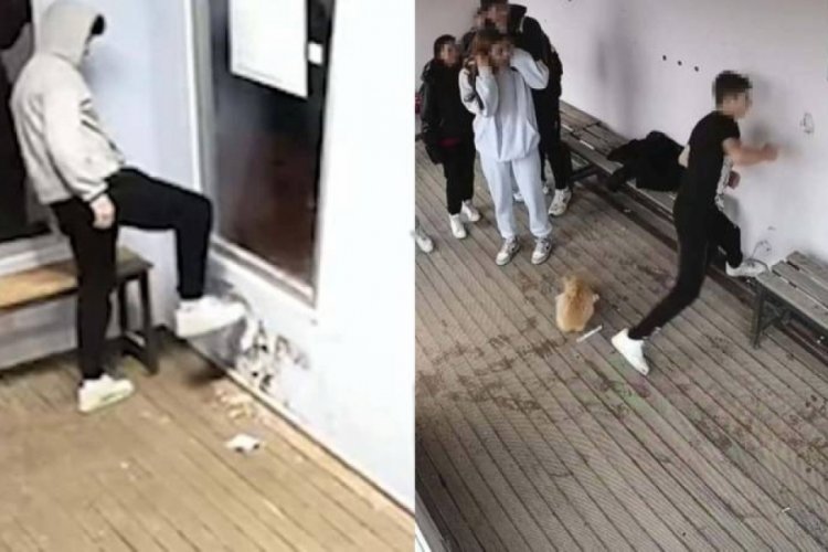 &Ccedil;anakkale'de gen&ccedil;ler durağa zarar verdi! Belediye o anları paylaştı