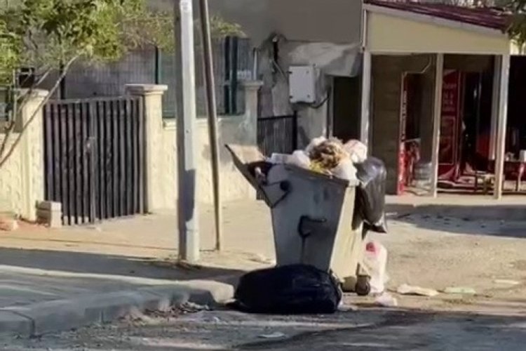 Adıyaman'da toplanmayan &ccedil;&ouml;pler vatandaşı rahatsız ediyor