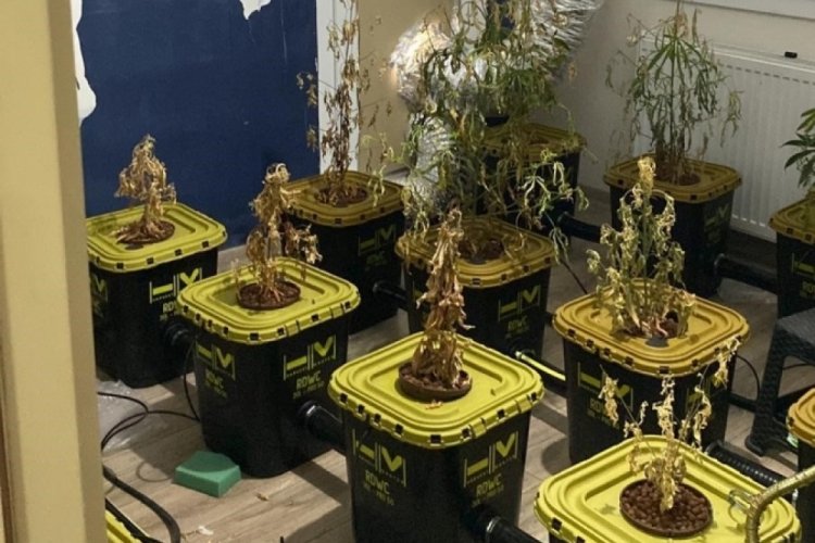 Apartmana uyuşturucu serası kurmuşlar