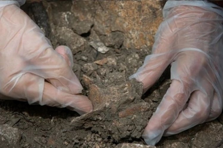 Fransa'nın Rh&ocirc;ne Vadisi'nde Neandertal kalıntıları bulundu! 