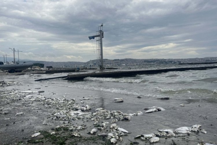 İzmir K&ouml;rfezi'ndeki kirlilik b&uuml;y&uuml;k endişe yarattı