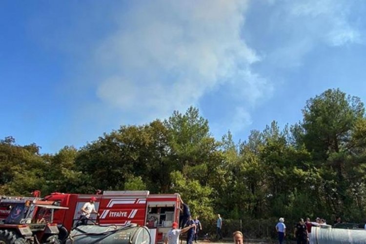 Samsun'da Tıp F&uuml;k&uuml;ltesi Hastanesi'ne yakın ormanlık alanda yangın