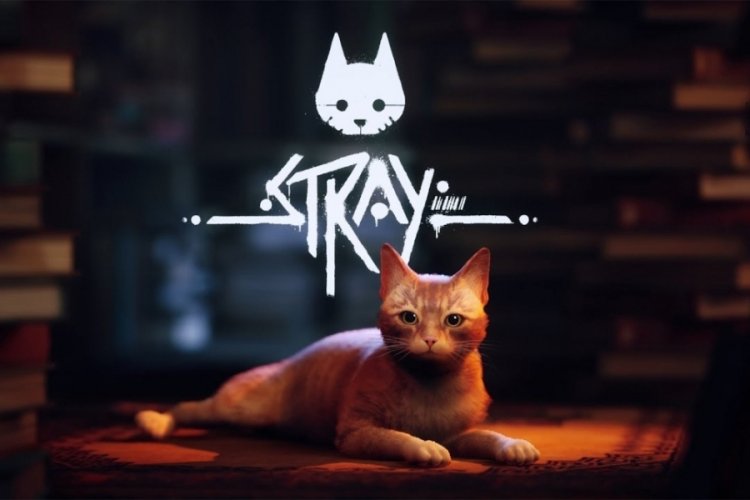 "Kedi Simülatörü" Stray'ın şirketinde tüm oyun ekibi istifa etti