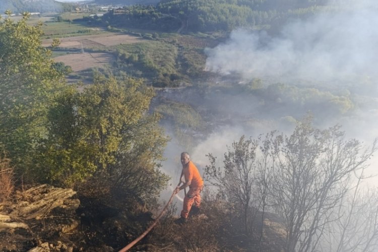 Antalya'da orman yangını