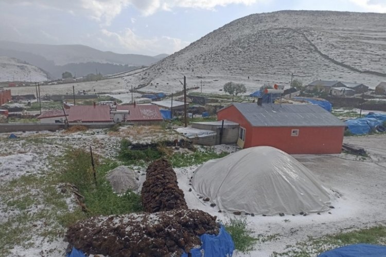 Ardahan'da dolu yağışı beyaz gelinliğe b&uuml;r&uuml;nd&uuml;!
