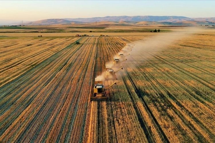 Üst üste 2 yıl işlenmeyen tarım arazileri kiraya verilecek