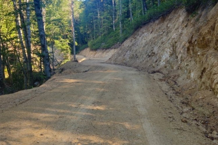 D&uuml;zce'de orman yolu estetik g&ouml;r&uuml;n&uuml;m&uuml;ne kavuştu!