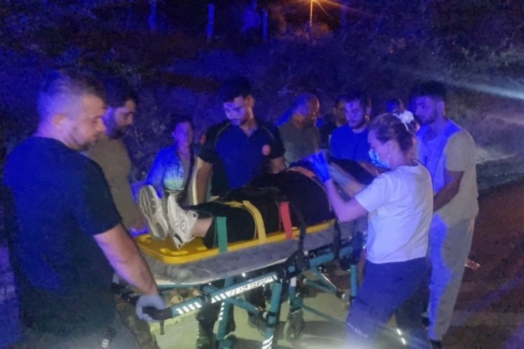 Sinop'ta k&ouml;peğe &ccedil;arpmamak i&ccedil;in manevra yapıp takla attı