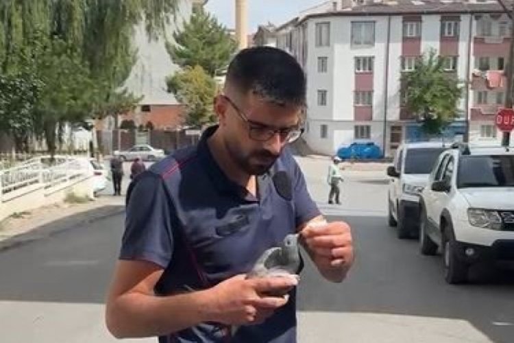 Sivas'ta aspirat&ouml;r bacasına sıkışan g&uuml;vercini itfaiye ekipleri kurtardı!