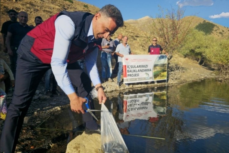 Tunceli'de g&ouml;letlere milyonlarca yavru sazan balığı salındı