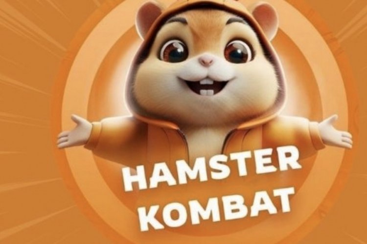 Hamster Combat günlük şifre açıklandı! 17 Eylül 2024: Hamster Kombat günlük kombo, şifre ne?