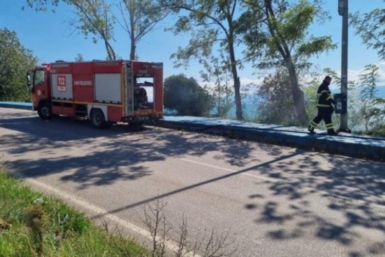 Sinop'ta yeşillik alanda yangın &ccedil;ıktı