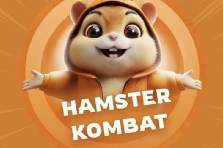 Hamster Combat günlük şifre açıklandı! 18 Eylül 2024: Hamster Kombat günlük kombo, şifre ne?