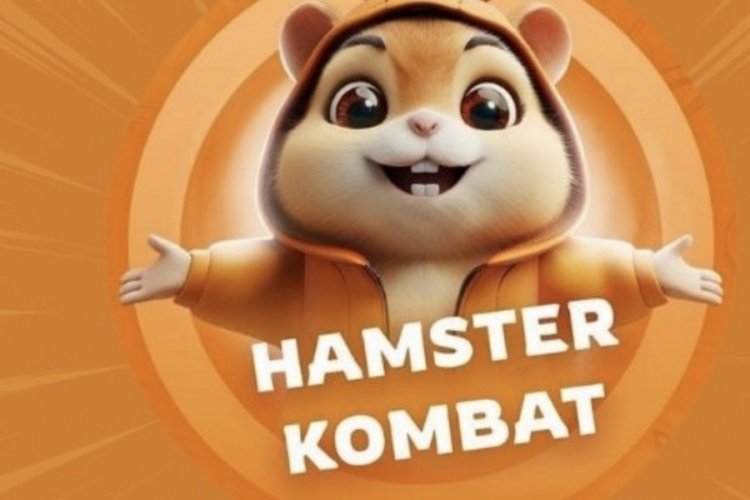 Hamster Combat günlük şifre açıklandı! 19 Eylül 2024: Hamster Kombat günlük kombo, şifre ne?