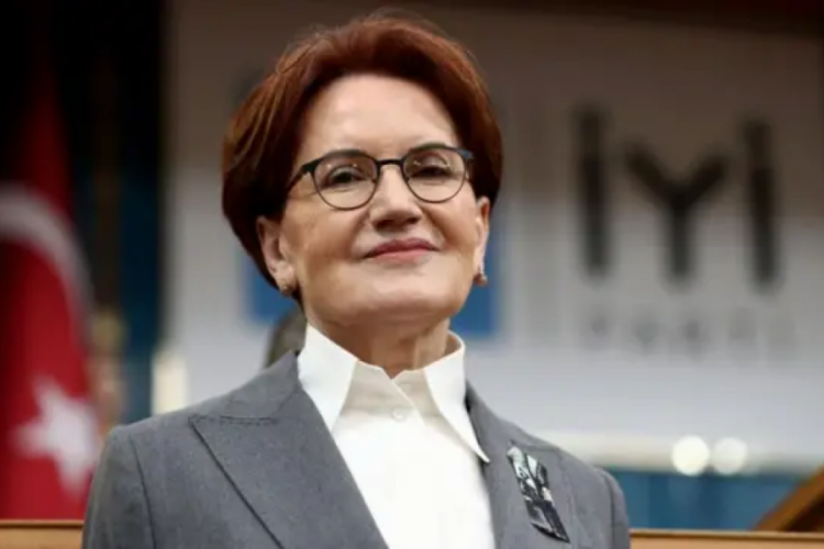 Meral Akşener'den aylar sonra yeni fotoğraf! 