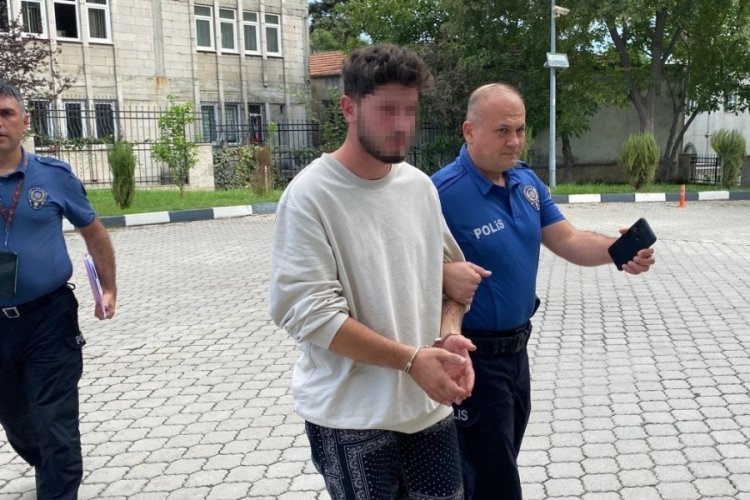 Samsun'da fındık hırsızları yakalandı