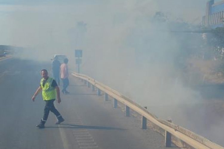Balıkesir'de yol kenarına fırlatılan sigara izmariti yangına sebebiyet verdi!