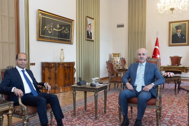 TBMM Başkanı Kurtulmuş, Mısır'ın Ankara B&uuml;y&uuml;kel&ccedil;isini Amr Soliman Abdelmeguid El - Hamamy