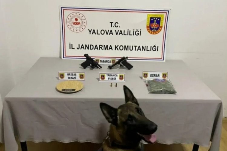 Jandarmadan uyuşturucu operasyonu!