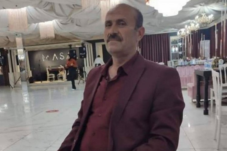 Bal yemek istedi ama canından oldu!