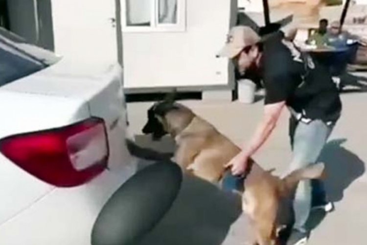 Gaziantep'te 5 kilo skunk ele ge&ccedil;irildi