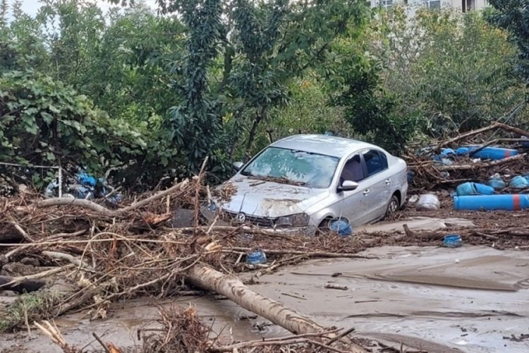 Karadeniz'de yerleşim alanlarını bekleyen tehlike