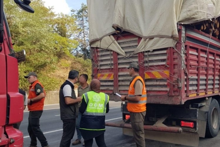 Bursa'da orman ka&ccedil;ak&ccedil;ılığına karşı sıkı denetim
