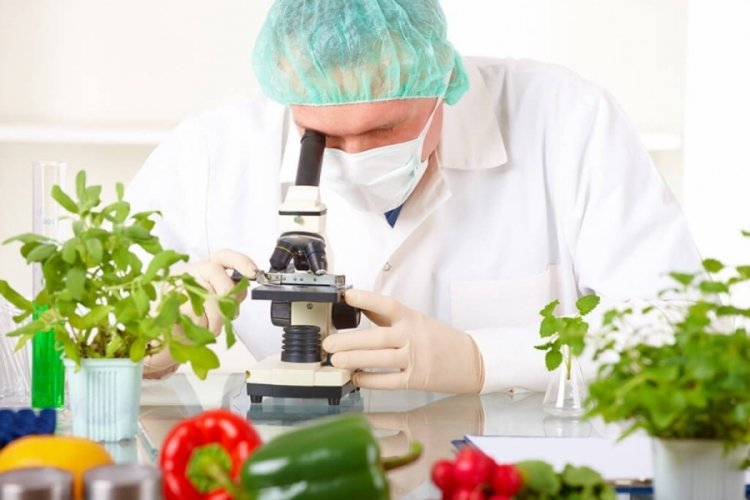 BAOB Makina M&uuml;hendisleri Odası Gıda M&uuml;hendisleri G&uuml;n&uuml;'n&uuml; kutladı