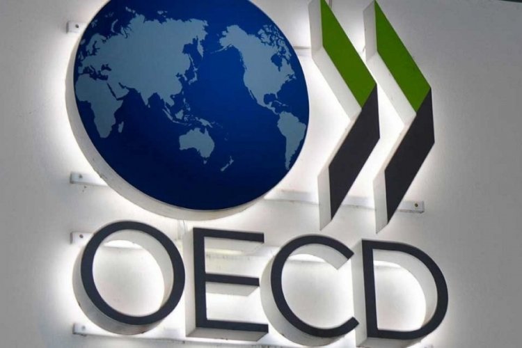 OECD'den Türkiye için enflasyon ve büyüme tahmini! 