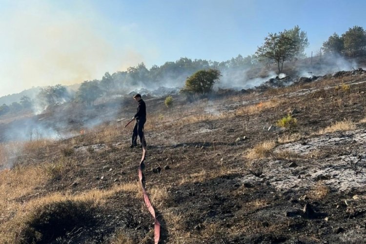 Bursa'da ormanlık arazide &ccedil;ıkan yangın b&uuml;y&uuml;meden kontrol altında!